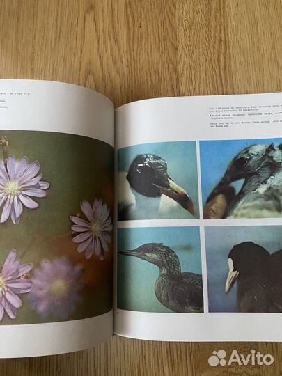 Книга о Красноводском заповеднике