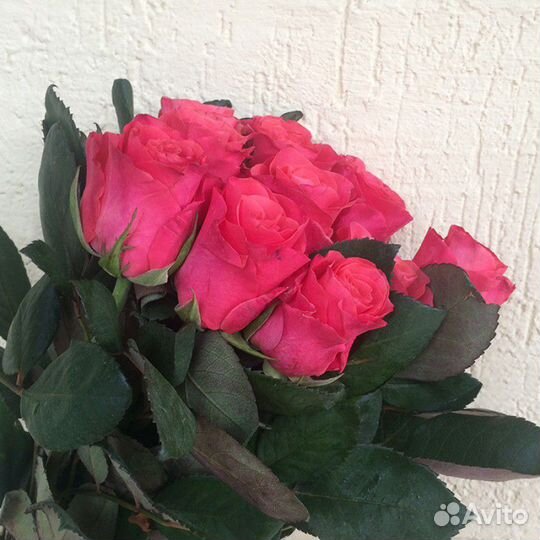 Букет из роз Pink Tacazzi Премиум 60 см