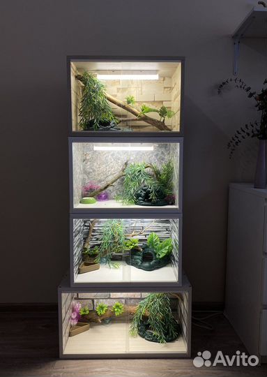 Комплект для эублефара