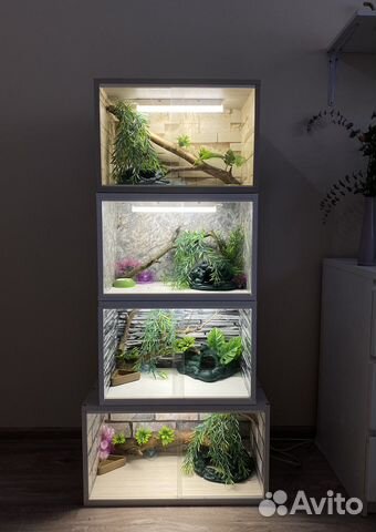 Комплект для эублефара