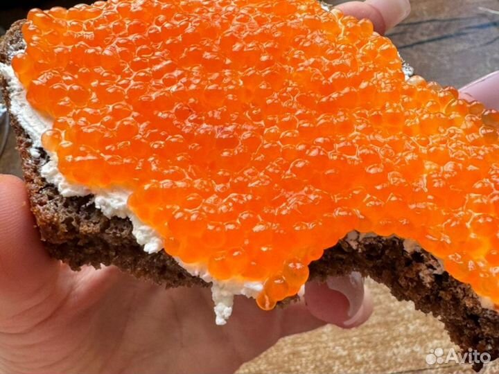 Форель Мурманская розница