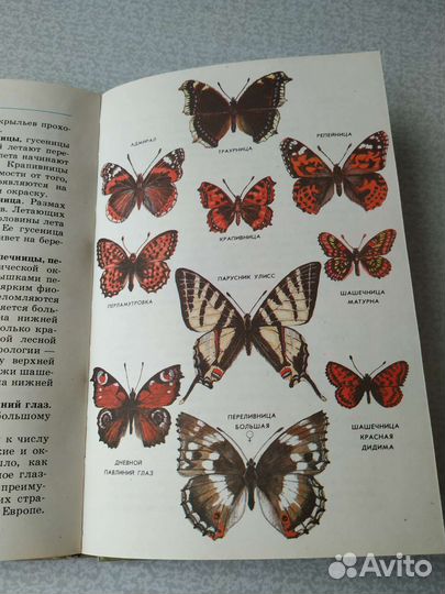 Зоопарк в твоей книжке том 1 насекомые