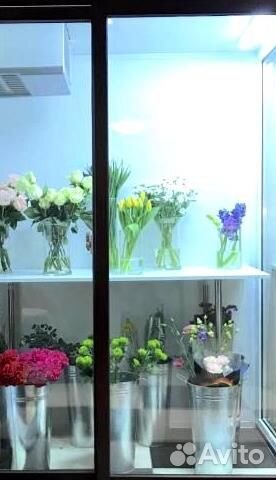 Холодильная камера для цветов