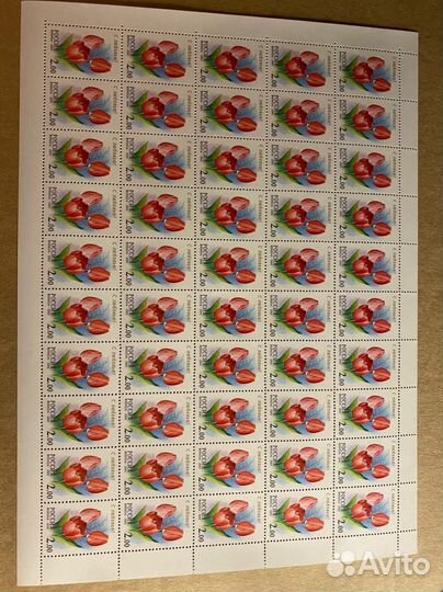 Россия 2001, Флора. 657-661, серия из 5 листов