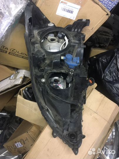 Ниссан Сентра фара правая битая оригинал