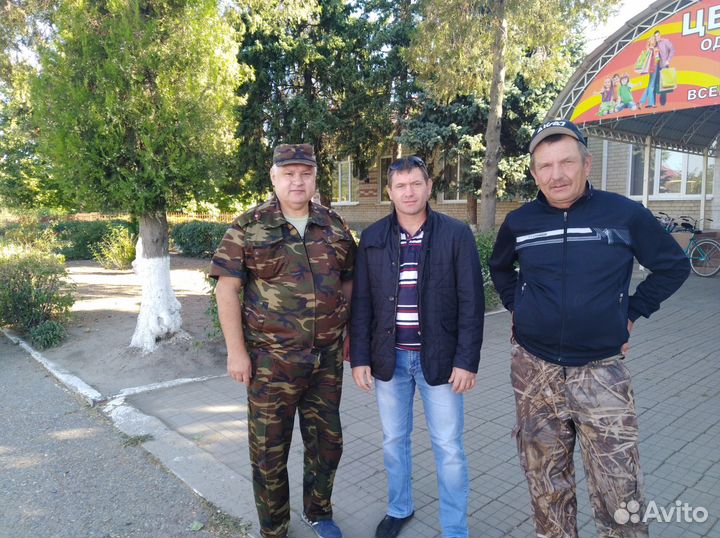Директор, руководитель, начальник, управляющий