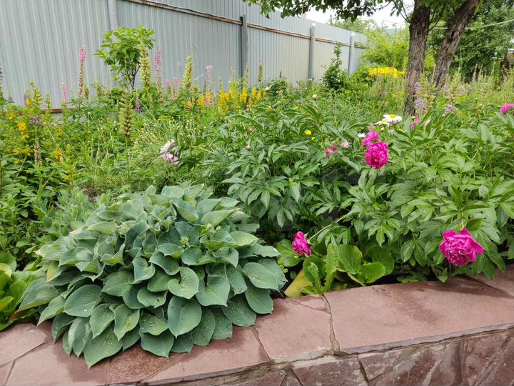 Дача 70 м² на участке 10,1 сот.