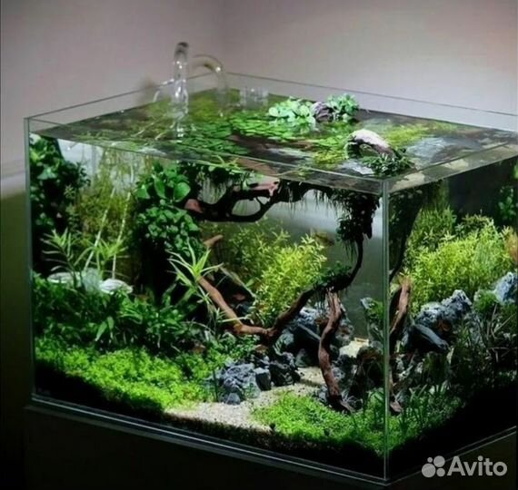 Террариум большой