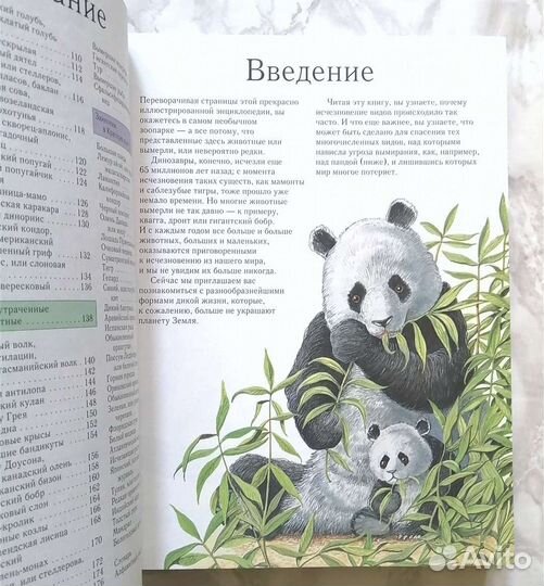 Вымершие животные. Большая энциклопедия