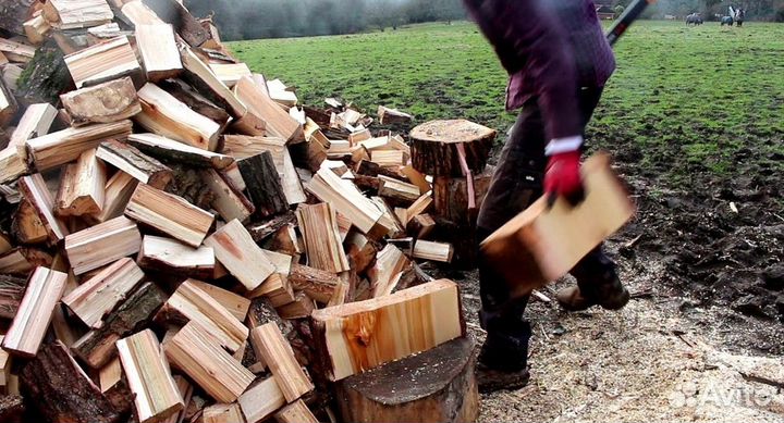 Дрова с Приморска