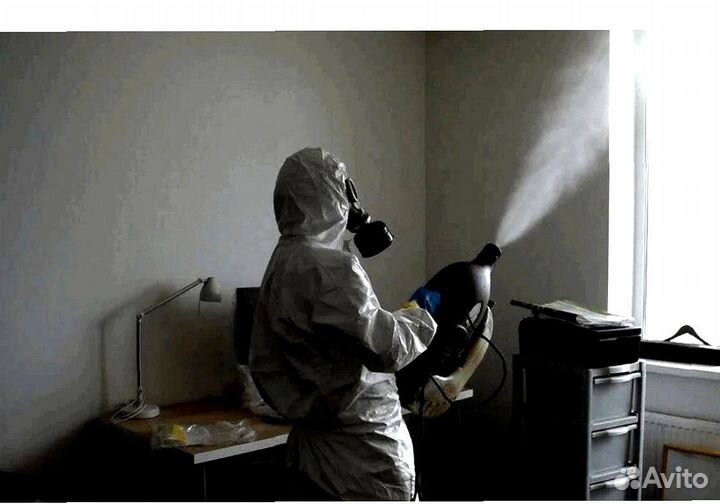 Уничтожение клопов тараканов грызунов