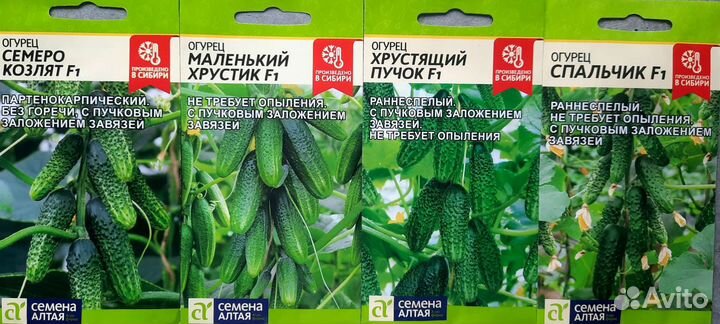 Семена алтая в ассортименте