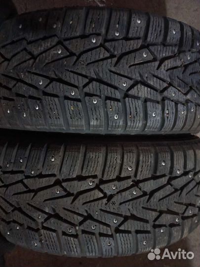 Nordman WR 205/55 R16