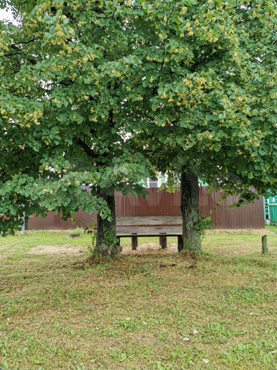 Дом 48 м² на участке 30 сот.