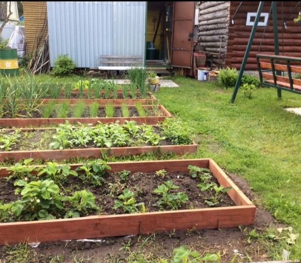 Дача 50 м² на участке 9 сот.