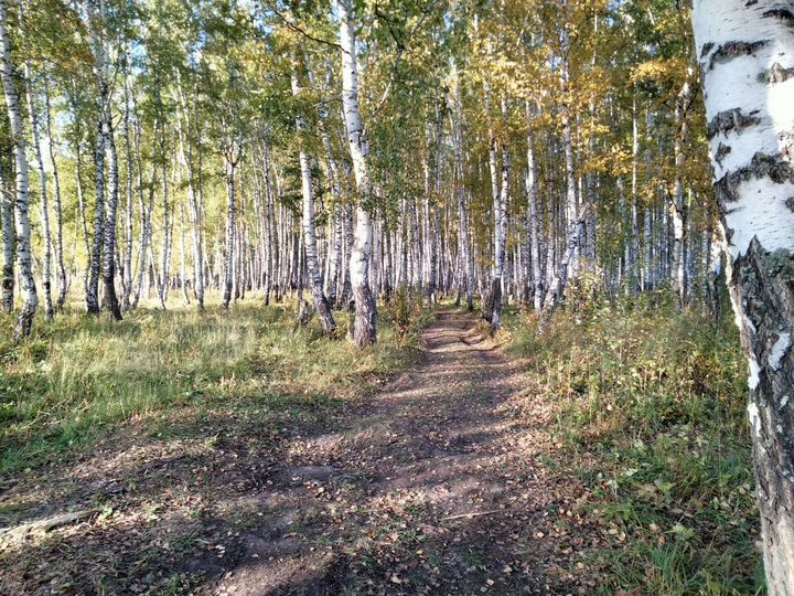 Участок 15 сот. (ИЖС)