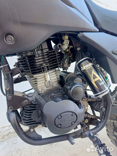 Racer Panther 200