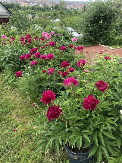 Дача 60 м² на участке 3,5 сот.