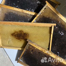 Сушь Дадановская, пчелиные рамки
