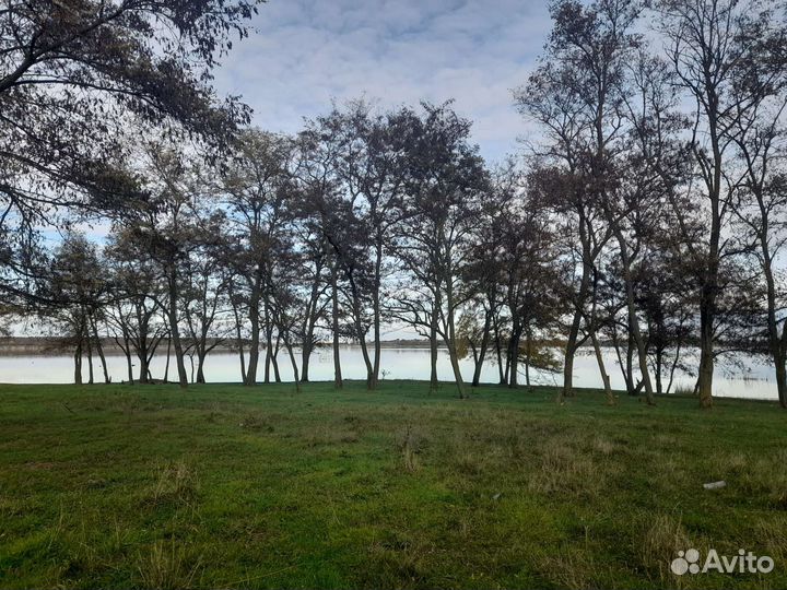 Эко мясо, козлятина, Говядина, баранина, жир