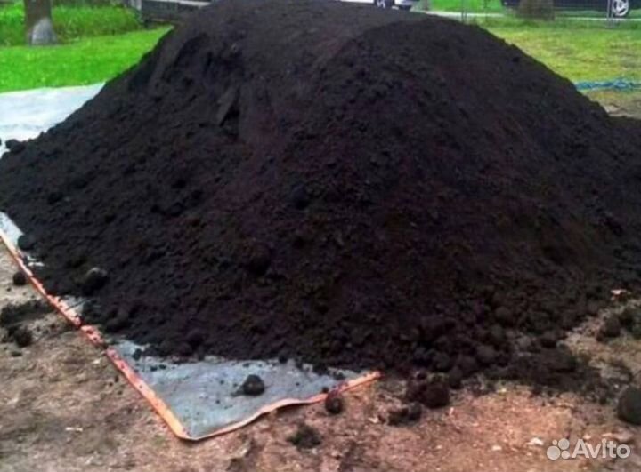 Земля чернозем