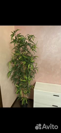 Искусственное дерево IKEA бамбук