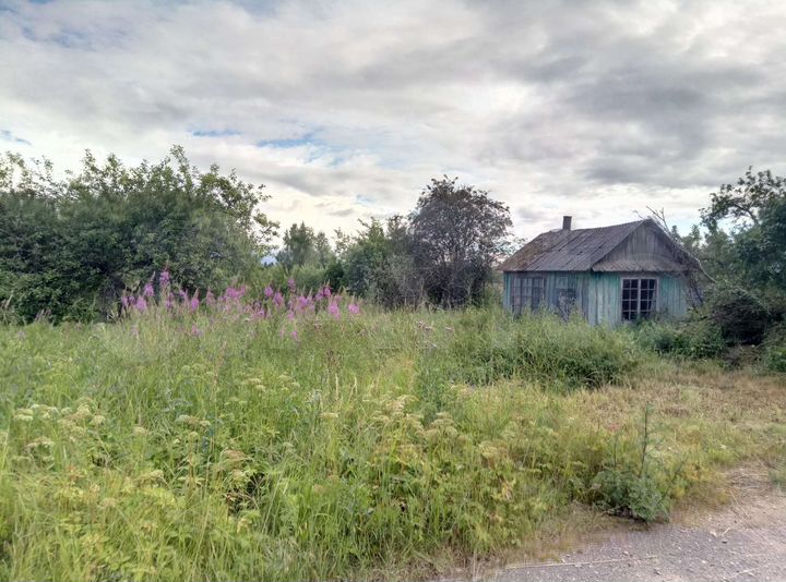 Участок 50 сот. (ИЖС)