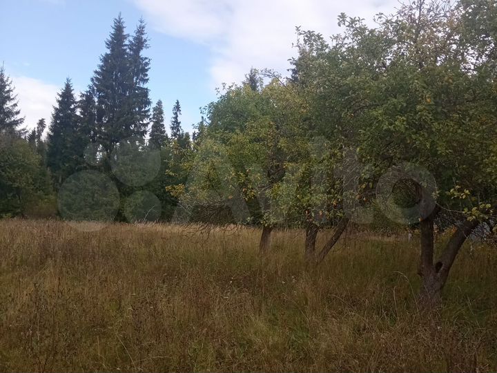 Участок 100 сот. (ИЖС)