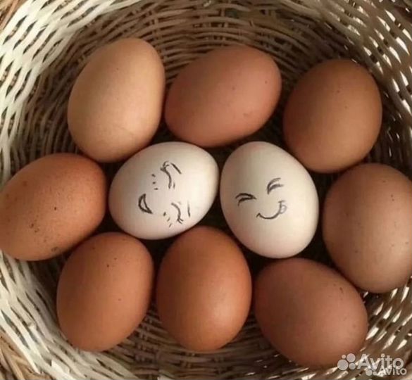 Домашние куриные яйца