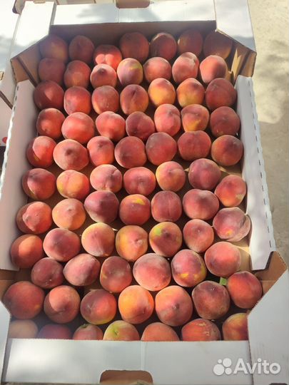 Продам персик опт и розница