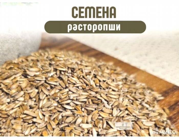 Семена рассторопши на заказ