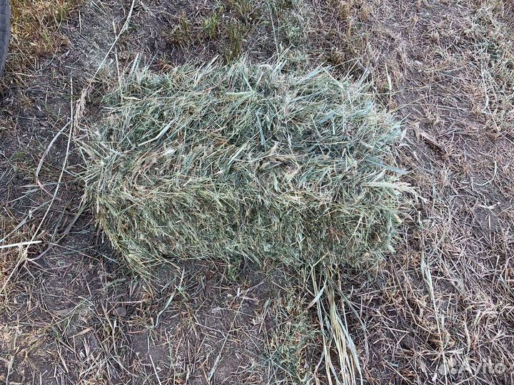 Сено с доставкой