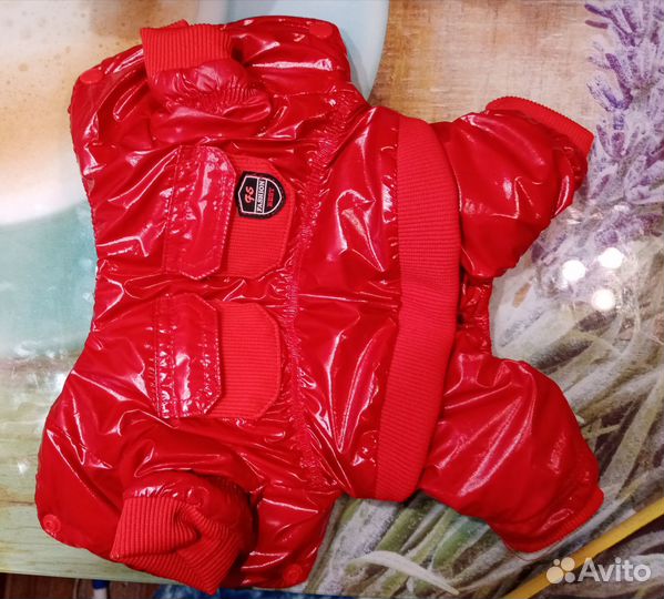 Зимний комбинезон для маленькой собаки