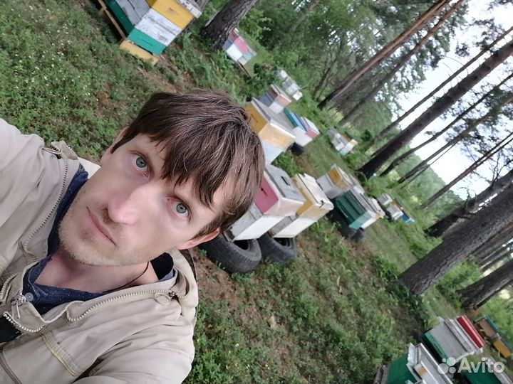 Мед липовый 2024 года доставка бесплатно