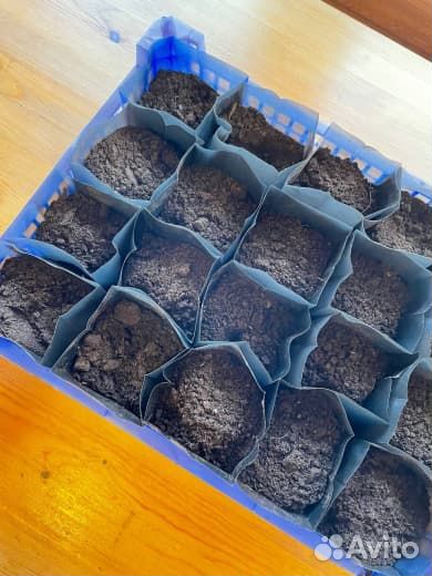Пакеты для рассады 0,6 литра