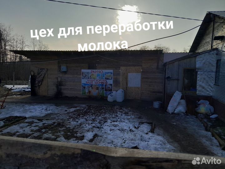 Фермерское хозяйство готовый бизнес