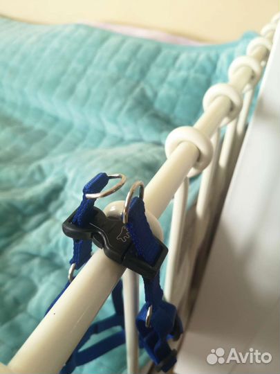 Шлейка для маленькой собаки