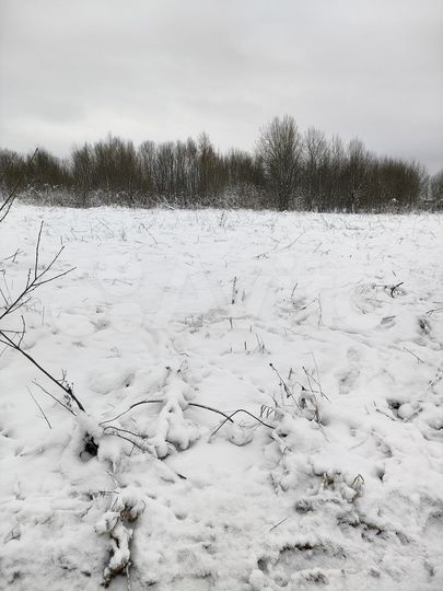 Участок 6,5 сот. (ИЖС)