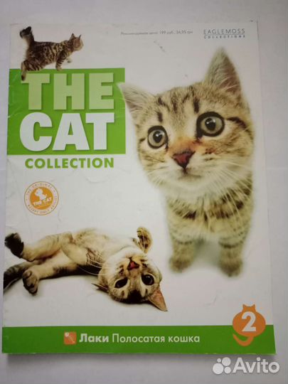 Журналы The cat