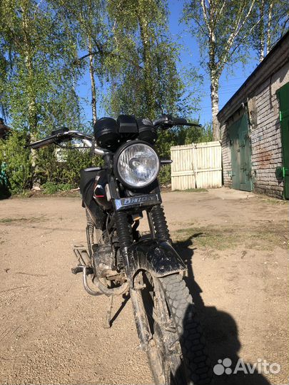 Orion Gryphon 125