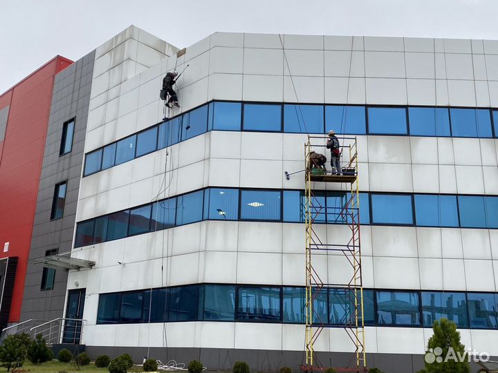 Мойка окон и фасада альпинистами GorFox (горфокс)