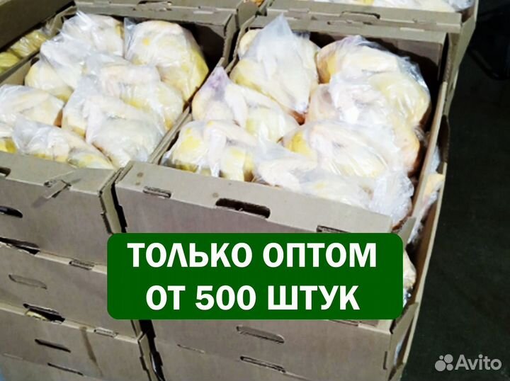 Мясо курицы оптом