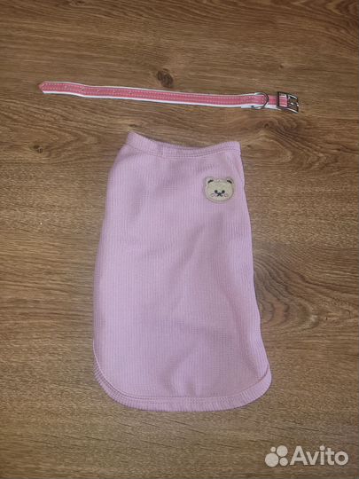 Одежда для маленьких собак