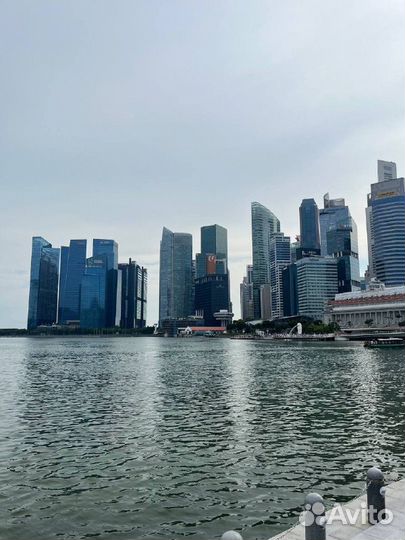 Зарубежная программа Itec Сингапур