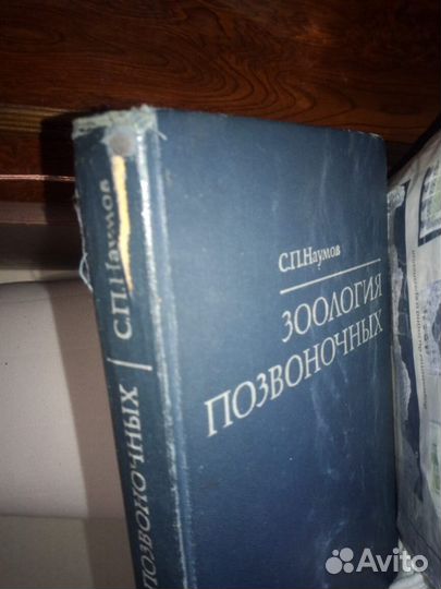 Зоология позвоночных. Наумов
