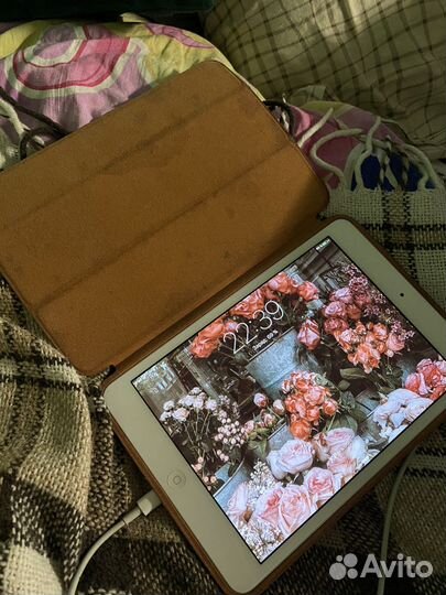 iPad mini