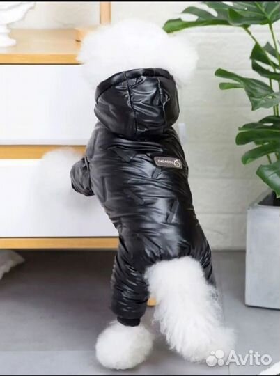 Комбинезон для собаки