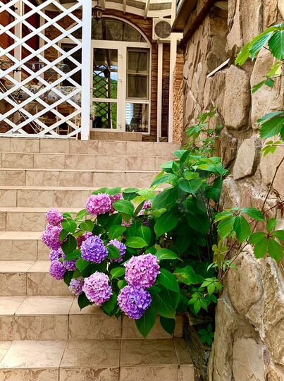 Комната 25 м² в 4-к., 1/1 эт.