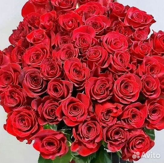 Высокие Розы с Доставкой