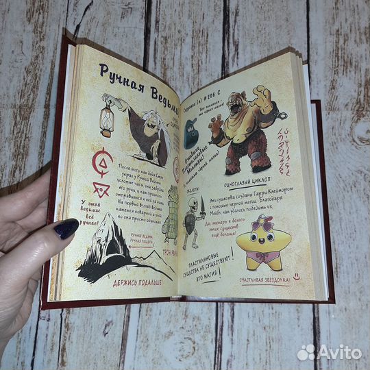 Дневники Гравити Фолз №1, №2 (А5-15х21 см.)